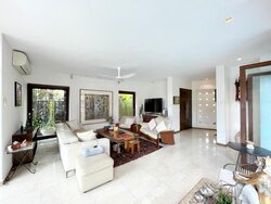 Shamrock Park (D10), Detached #457598761